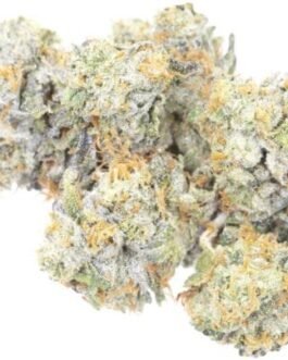 Buy Banana Mochi Strain