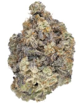 Buy White Runtz Online