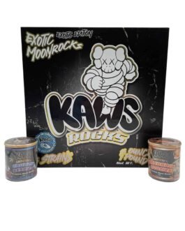 KAWS EXOTIC MOONROCKS