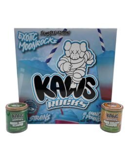 KAWS SLURPEE MOONROCKS