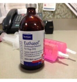 Nembutal (Pentobarbital Sodium) Injectable Vial (Liquid)