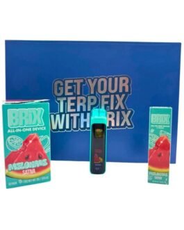 BRIX 2G DISPOSABLE