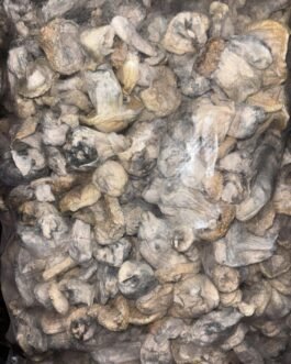 Shrooms | Buy good penis strain | Albino Ape 🦧 always available